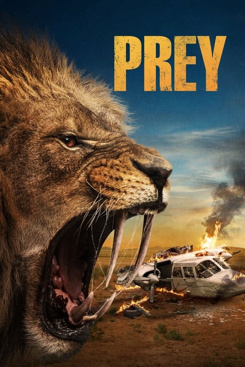 Prey movie review - mp4 movies