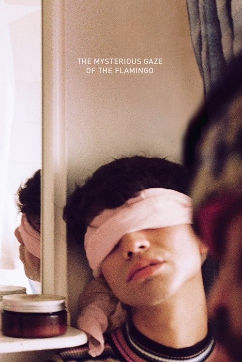 The Mysterious Gaze of the Flamingo movie review - mp4movies